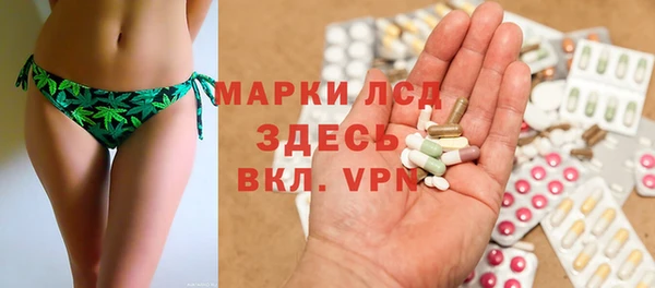 ECSTASY Алзамай