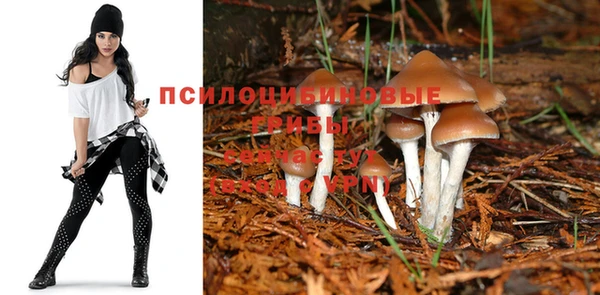 ECSTASY Алзамай